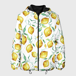 Мужская куртка Лимоны Нарисованные Акварелью