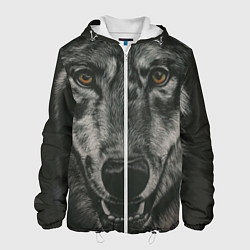 Куртка с капюшоном мужская Крупная морда серого волка, цвет: 3D-белый
