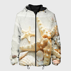 Мужская куртка Морские звёзды и ракушки на океанском берегу
