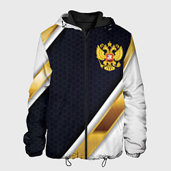 Куртка с капюшоном мужская Gold and white Russia, цвет: 3D-черный