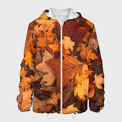 Куртка с капюшоном мужская Опавшие листья, цвет: 3D-белый