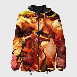Мужская куртка Куча осенних листьев
