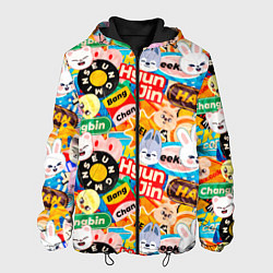 Куртка с капюшоном мужская Skzoo stickers characters, цвет: 3D-черный