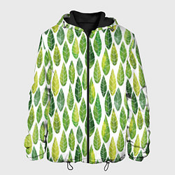 Мужская куртка Акварельные листья