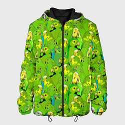 Куртка с капюшоном мужская Зеленые волнистые попугайчики, цвет: 3D-черный