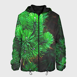 Мужская куртка Зелёный лес России