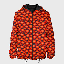 Куртка с капюшоном мужская Чешуя огненного дракона, цвет: 3D-черный