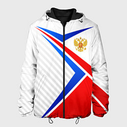 Куртка с капюшоном мужская Герб РФ - классические цвета флага, цвет: 3D-черный