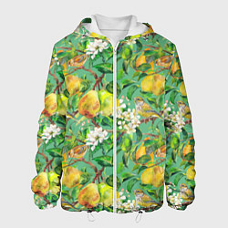 Мужская куртка Груши и птицы
