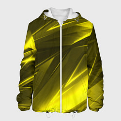 Куртка с капюшоном мужская Gold stripes abstraction, цвет: 3D-белый