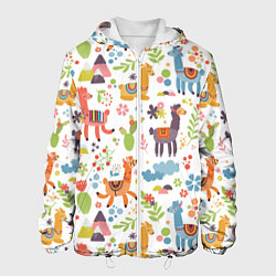 Мужская куртка Ламы паттерн