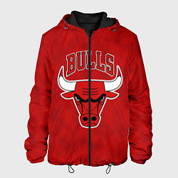 Мужская куртка NBA Chicago Bulls