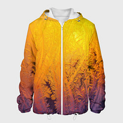 Мужская куртка Узоры золотистого инея