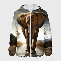 Куртка с капюшоном мужская Дикий слон, цвет: 3D-белый