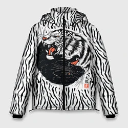 Мужская зимняя куртка Yin Yang Tigers