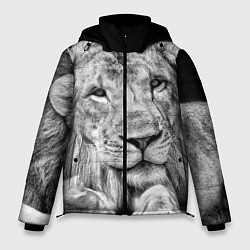 Куртка зимняя мужская Милый лев, цвет: 3D-черный