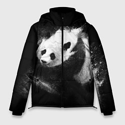 Мужская зимняя куртка Молочная панда