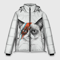 Куртка зимняя мужская David Bowie: Grumpy cat, цвет: 3D-черный