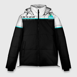 Куртка зимняя мужская Detroit: AX400, цвет: 3D-черный