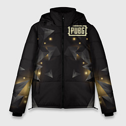 Куртка зимняя мужская PUBG: Night Fireflies, цвет: 3D-светло-серый