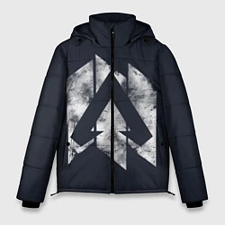 Куртка зимняя мужская Apex Legends, цвет: 3D-светло-серый