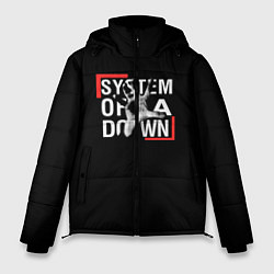 Куртка зимняя мужская System of a Down, цвет: 3D-светло-серый