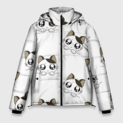 Куртка зимняя мужская Котята, цвет: 3D-светло-серый