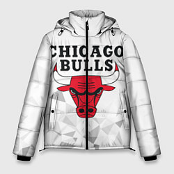Куртка зимняя мужская CHICAGO BULLS, цвет: 3D-черный