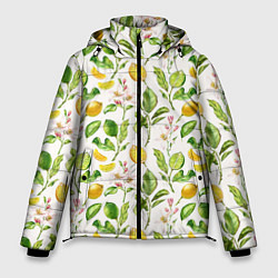 Куртка зимняя мужская Летний узор лимон ветки листья, цвет: 3D-черный
