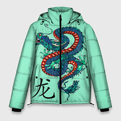 Мужская зимняя куртка Dragon