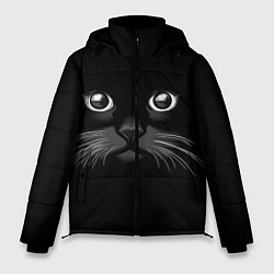 Куртка зимняя мужская Кошачья моська, цвет: 3D-черный