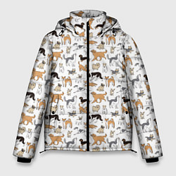 Куртка зимняя мужская Узор собаки много, цвет: 3D-черный