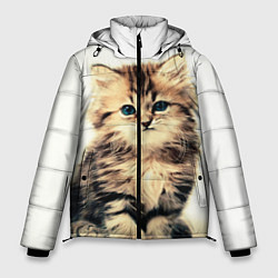 Куртка зимняя мужская Котёнок, цвет: 3D-красный