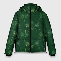 Куртка зимняя мужская Одуванчики, цвет: 3D-светло-серый
