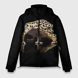 Куртка зимняя мужская ЭУБЛЕФАР EUBLEPHARIS, цвет: 3D-черный