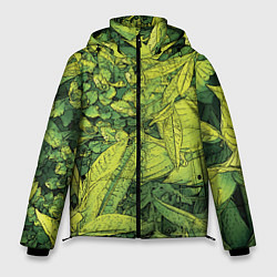 Куртка зимняя мужская Растительная жизнь - Хоста, цвет: 3D-черный