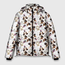 Куртка зимняя мужская Джек Рассел Терьер, цвет: 3D-светло-серый