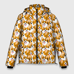 Куртка зимняя мужская Собаки Корги, цвет: 3D-черный