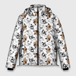 Куртка зимняя мужская Бульдожики, цвет: 3D-черный