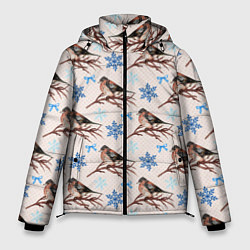 Куртка зимняя мужская Снегири зима, цвет: 3D-светло-серый