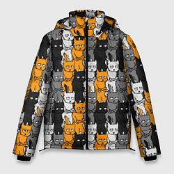 Куртка зимняя мужская Злой Кот мем, цвет: 3D-черный
