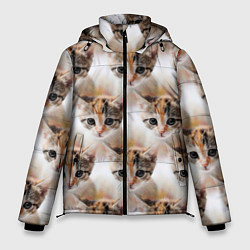Куртка зимняя мужская Маленький котенок паттерн, цвет: 3D-светло-серый