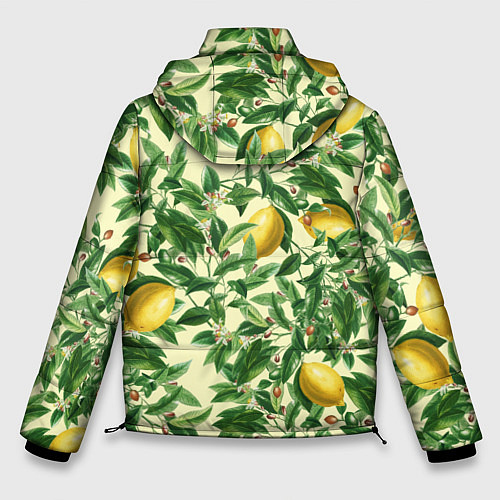 Мужская зимняя куртка Лимоны На Ветках / 3D-Красный – фото 2