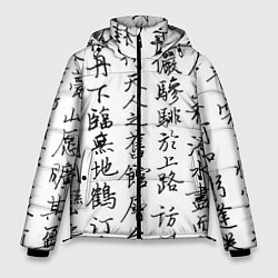 Куртка зимняя мужская Иероглифная сетка, цвет: 3D-светло-серый