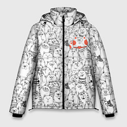 Куртка зимняя мужская Румяная киска и серые коты, цвет: 3D-светло-серый