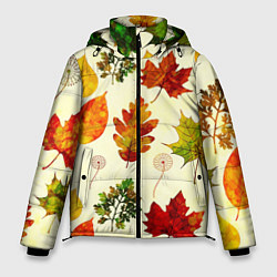 Куртка зимняя мужская Осень, цвет: 3D-красный