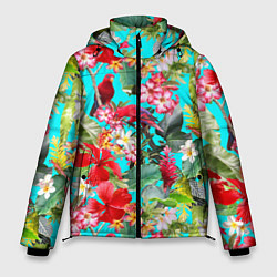 Куртка зимняя мужская Тропический мир, цвет: 3D-красный