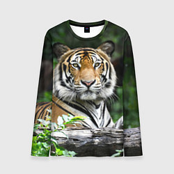 Лонгслив мужской Тигр в джунглях, цвет: 3D-принт