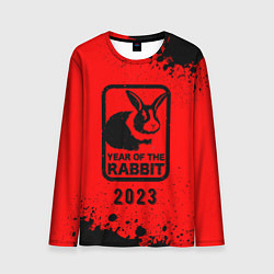 Лонгслив мужской 2023 Кролик в рамочке, цвет: 3D-принт