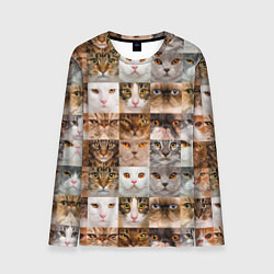 Лонгслив мужской Pedigreed cats, цвет: 3D-принт